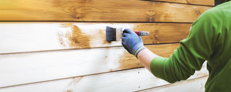 Home Exterior Staining in Fort Collins, CO